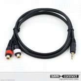 2x RCA naar 3.5mm mini Jack kabel, 0.3 m, f/m