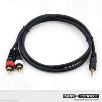 2x RCA naar 3.5mm mini Jack kabel, 0.3m, m/m