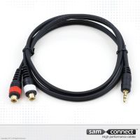2x RCA naar 3.5mm mini Jack kabel, 0.3 m, f/m