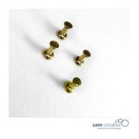 Set Prikbord Pins goud 50st.
