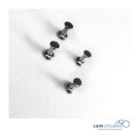Set Prikbord Pins zilver 50st.