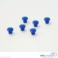 Set Memo Magneten 10mm blauw