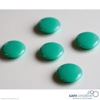 Set Memo Magneten 30mm groen