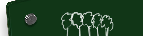 Solid Forest Green Solid Forest Green